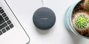 google assistant